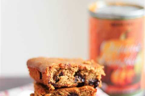 Flourless Pumpkin Chocolate Chip Bars