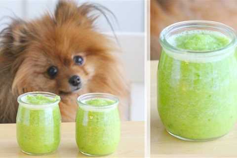 Juicing For Dogs: Things You Should Know