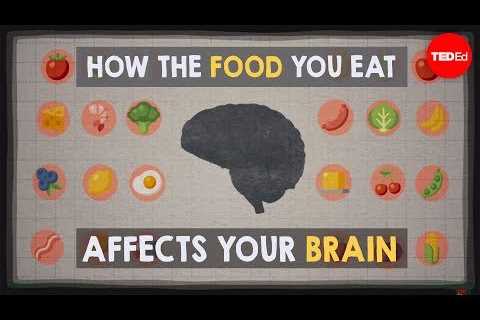 How the food you eat affects your brain – Mia Nacamulli