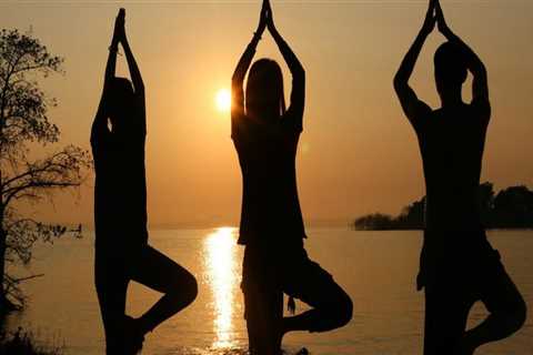 When was national yoga day celebrated?