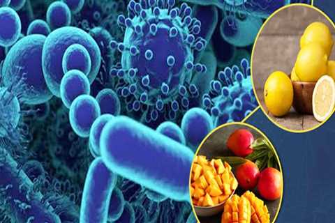 The Best Foods to Kill Bacteria in the Stomach