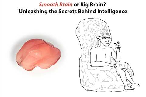 Smooth Brain vs Big Brain: Understanding the Differences in Intelligence