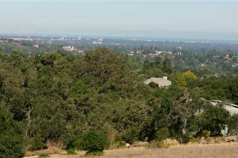 Hiking At Rancho San Antonio