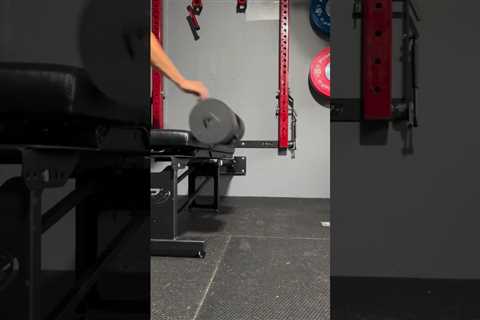 Snode Adjustable Dumbbells Drop Test (Snode AD80)