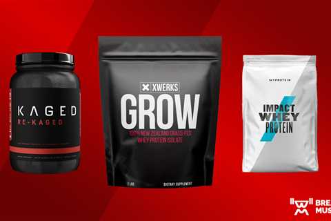 Best Protein Powders for Muscle Gain for Men, Women, Beginners, and More