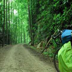Discover the Best Bike-Friendly Creeks in South Carolina