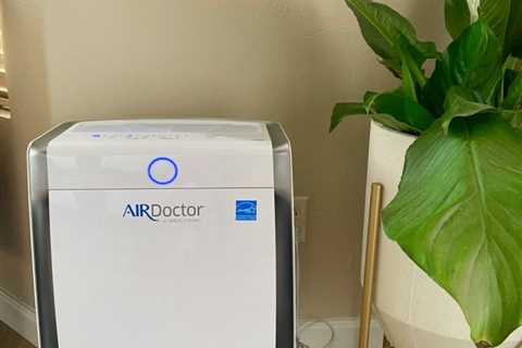 the best air filter for home (Air Doctor Review)