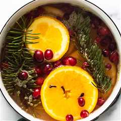 Holiday Simmer Pot Recipe