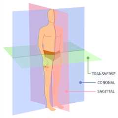 Unlocking the Secrets of Movement: A Guide to the 3 Planes of Motion