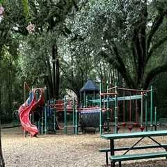 Making Sports Facilities Accessible in Leon County, Florida