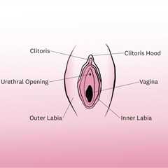 Everything You’ve Ever Wanted To Know About Clitoral Stimulation