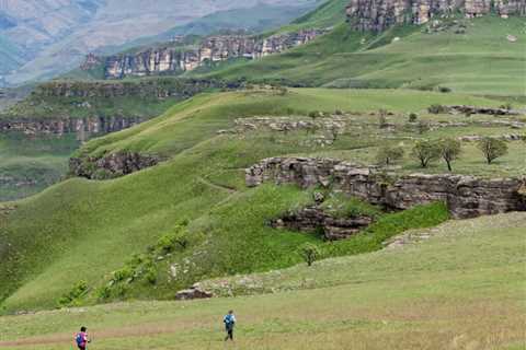 Living with Primary Hyperoxaluria